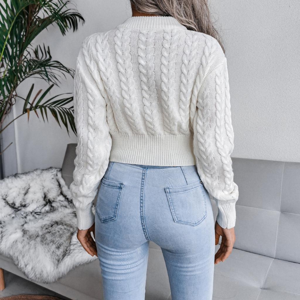 Damenmode Lässig Herbst Winter Rollkragen Zopfmuster Crop Pullover Top