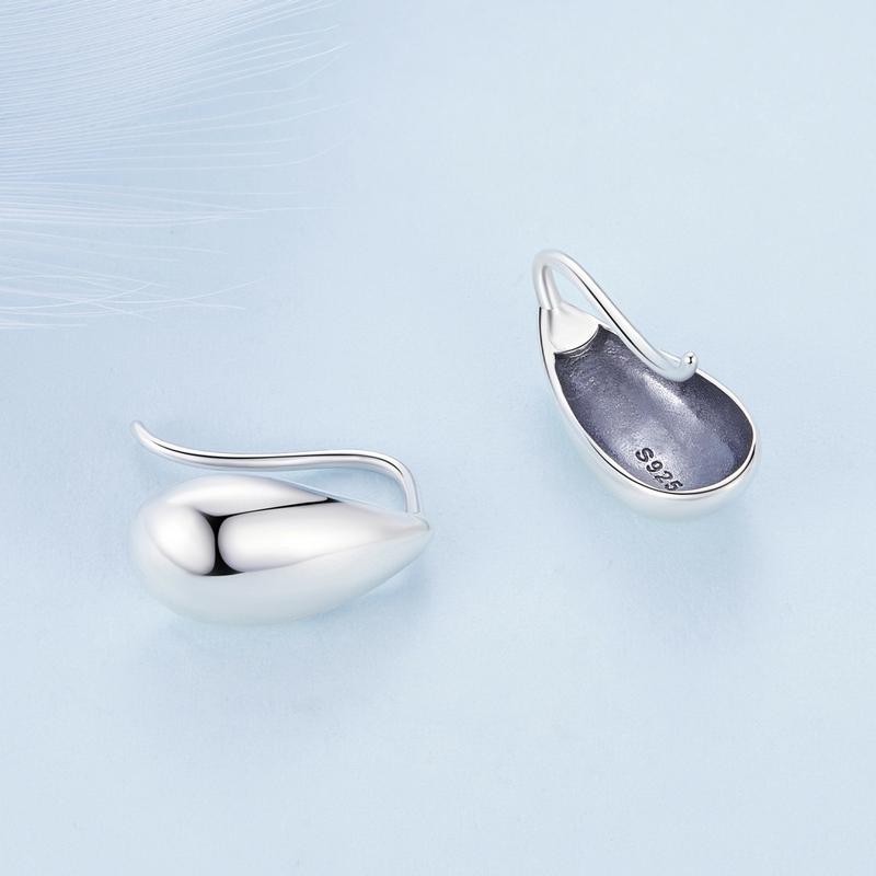 Silver Earrings Drop Earrings Silver 925 Trusky Earrings