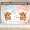 2D Gender Reveal Teddy Bear Backdrop Photography Background