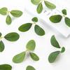 Artificial Plants Cheap DIY Needlework Cake Wedding Bouquet Wreath Festival Decoration for Home Scrapbook Fake Rose Leaf  props