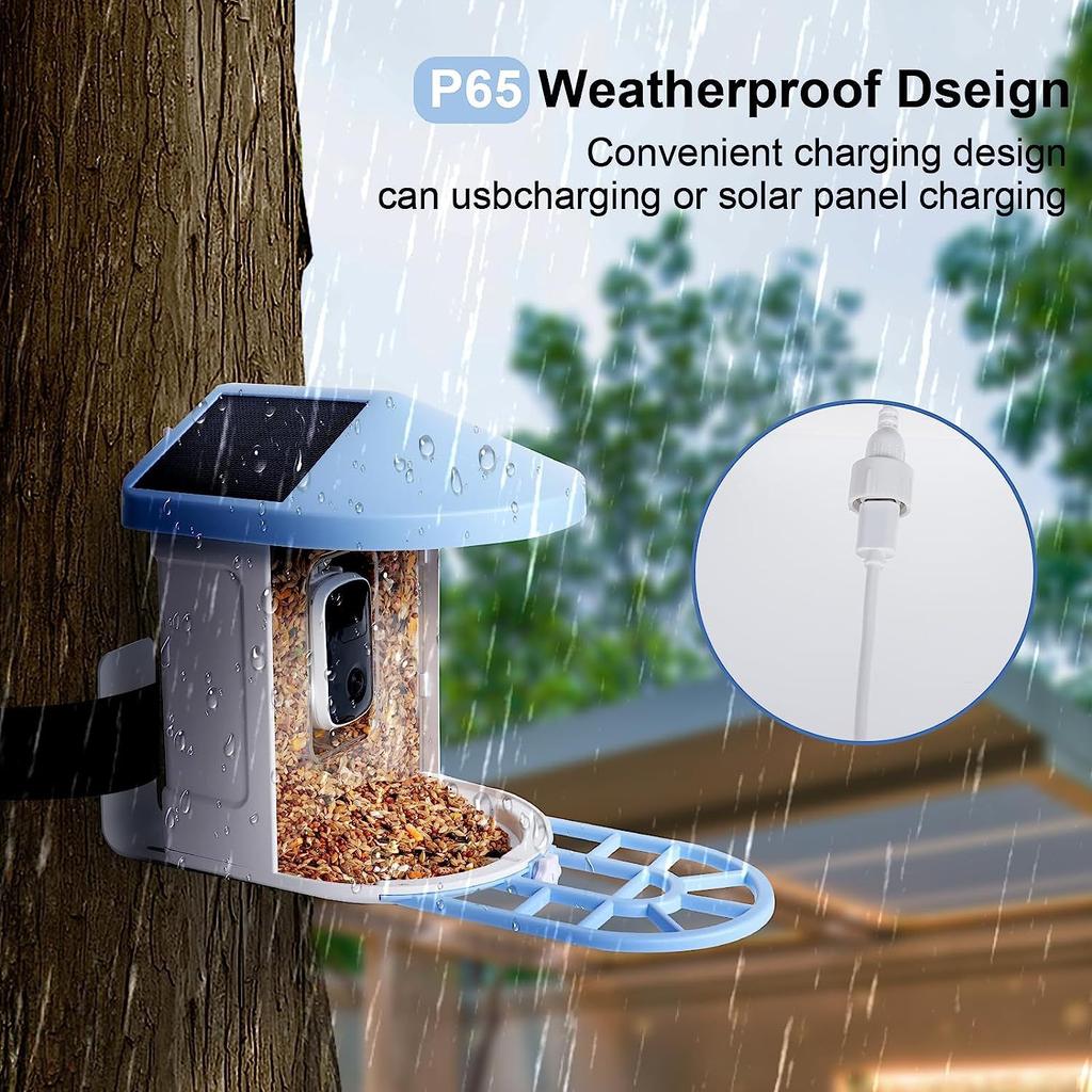 DAWU Hot New Product Smart Bird Feeder Camera Real-time Monitoring Wireless Camera Bird Feeder DWB060025