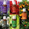 Exotic Aromas Essential Oil - Lavender oil, Lemongrass oil, Jasmine oil, Orange Oil, Rose oil (Pack of 5)