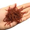 10/50pcs Four Section Earthworm Bait Lure 6cm Red Soft Worm with Fishy Smell Offshore Angling Simulation Soft Bait Ornaments