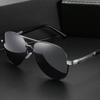 Polarized Black Silver Frame Gray Lens