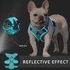 Manufacturer  Hot Selling Polyester Mesh Pet Supplies Soft Adjustable Reflective Durable Pet Dog Harness Set
