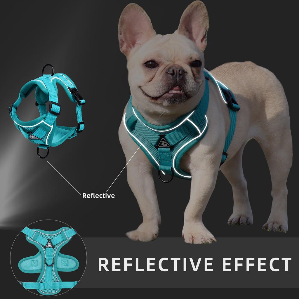 Manufacturer Hot Selling Polyester Mesh Pet Supplies Soft Adjustable Reflective Durable Pet Dog Harness Set