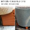 Haohana Plant Pot Feet Set of 12 Pot Keepers for Flower Prevents Root Gardening Supplies Flowers, Pots, Anti-Slip, Support, Stand, Saucer, Container,