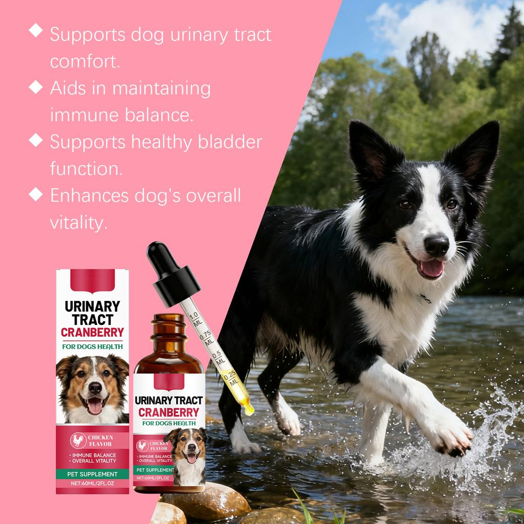 60ml Dog Urinary Tract Support Drops - Natural Cranberry Supplement For Bladder & Kidney Health, Chicken