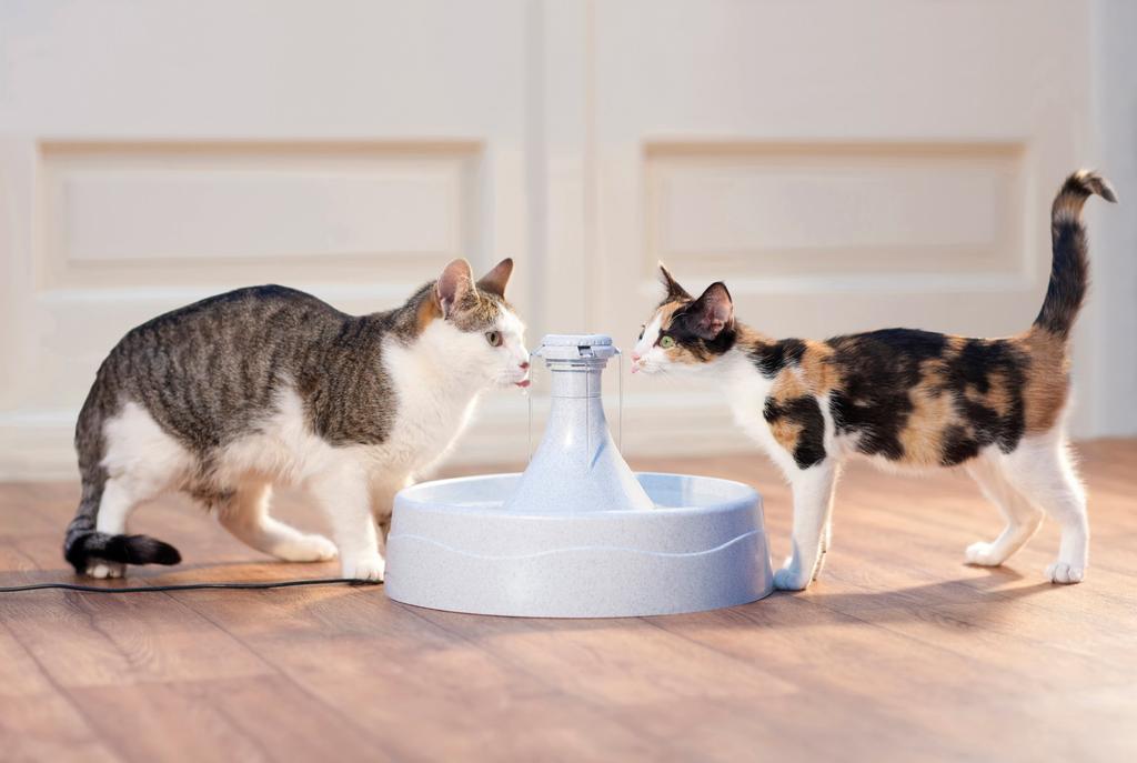 PetSafe Automatischer Wasserspender für Hunde und Katzen Drinkwell 360 Haustierbrunnen