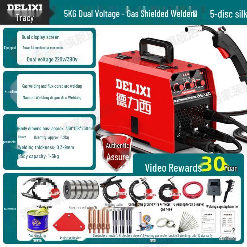 DELIXI 220V Electric Gasless MIG Welder - 3-in-1 Household and Industrial Welder