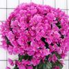 Realistic Silk Plastic Violets Wall Mounted Floral Display Maintenance Frees Indoor Decorative Flower Accessory