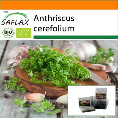 Garden In the Bag - Organic - Chervil - 800 Seeds - With Substrate In a Fitting Stand Up Bag - Anthriscus Cerefolium