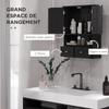 Bathroom Wall Cabinet, Vanity Unit, Doors, Shelf, 2 Drawers, 50.8 x 17.8 x 66 cm, Black