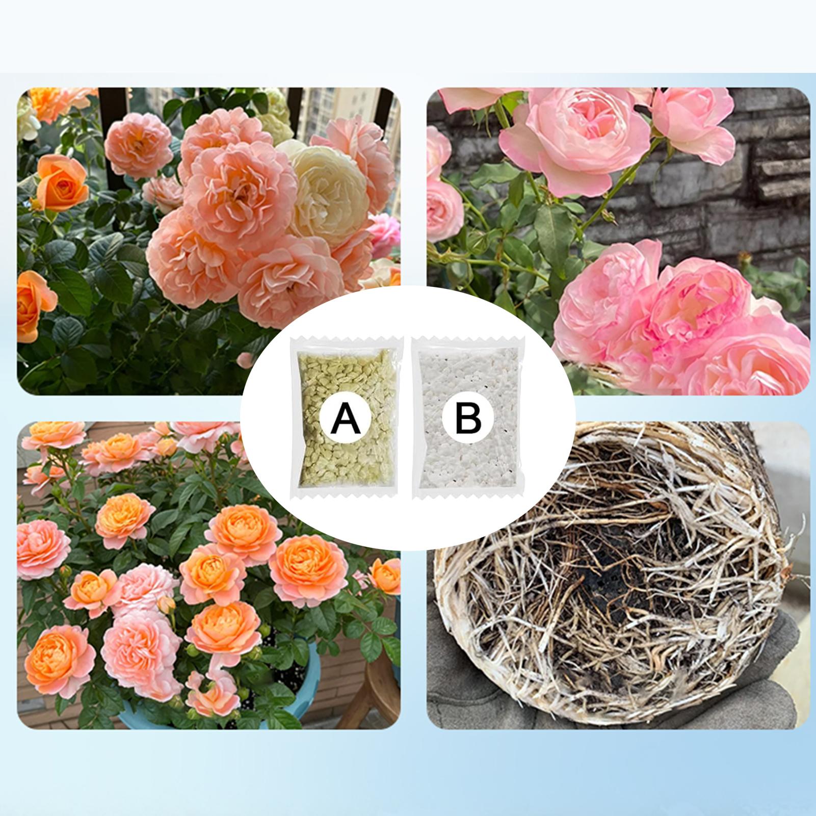 

Hydroponic Plant Concentrated Fertilizer Non-Polluting All-Purpose Formula A+B Two Part Set Suitable for Tomatoes Flowers 1