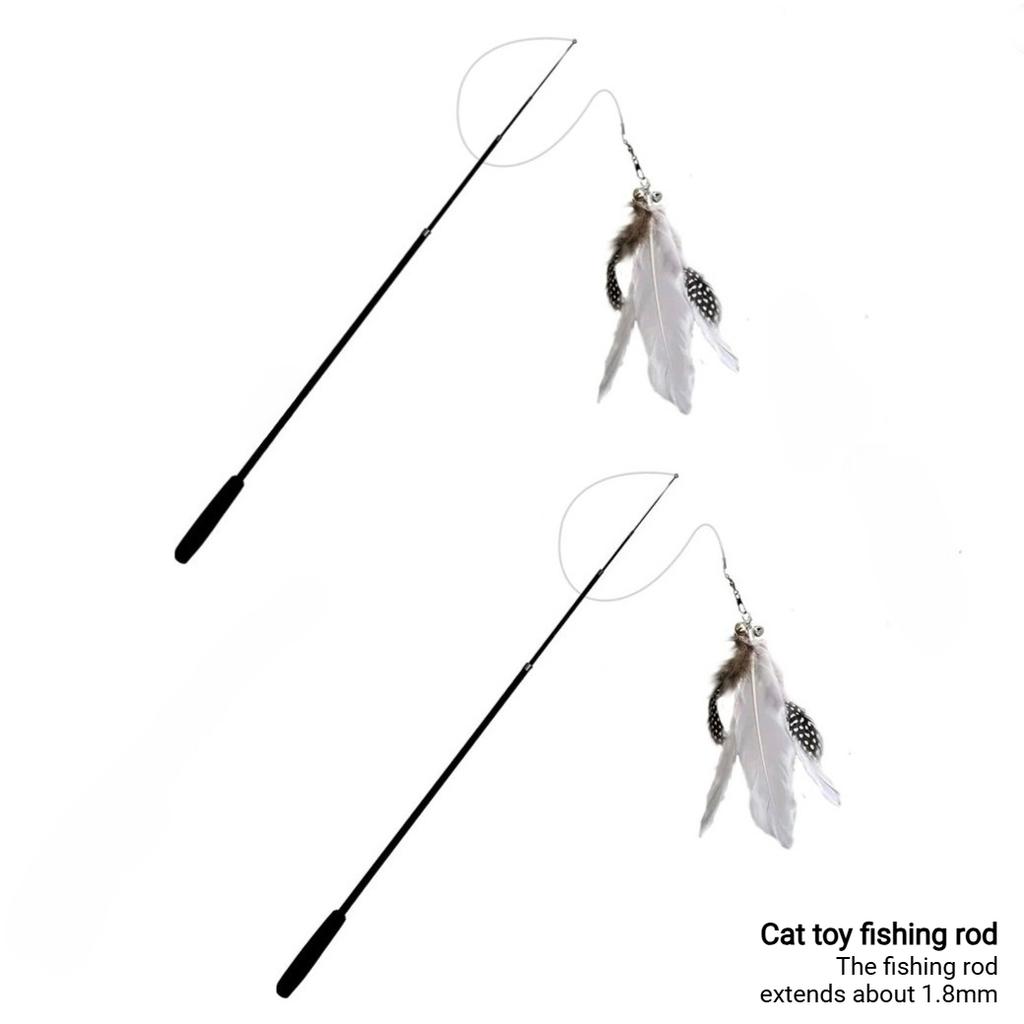 Pet Toy Dog Cat Interactive Ball Catnip Dog Chew Toy Cat Dog Interactive Toys Resistant Grinding Non Destructive Bite Proof