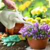 Elephant Watering Can Kids Home Patio Lawn Gardening Irrigation Plant Outdoor Cute Cartoon Plastic Watering Pot