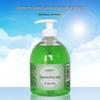 Longrich Aloe Vera Antibakterielle Handseife Doppelpack