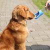 Portable Dog Water Bottle Dog's Water Bottle for Pet Dog Gourd Water Drinker Dogs GS02
