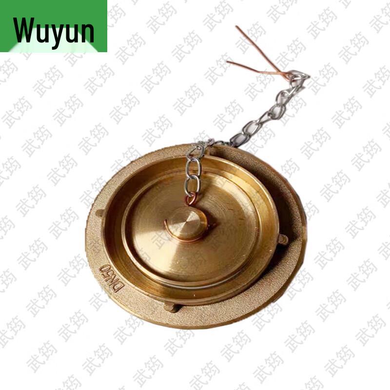 Marine Fire Hydrant Brass Blank Cap