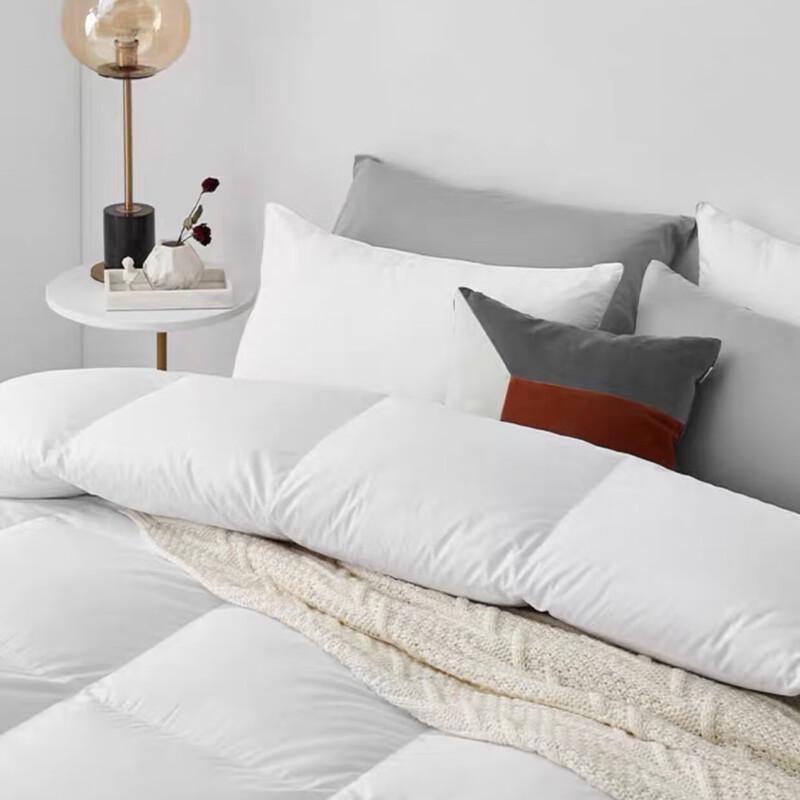 Dongfang Shiguang Ultra-Fine Fiber All-Season Duvet