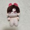 [USED] Anonymous Shipping Stray Kids Changbin Master Plush Toy Stray Kids