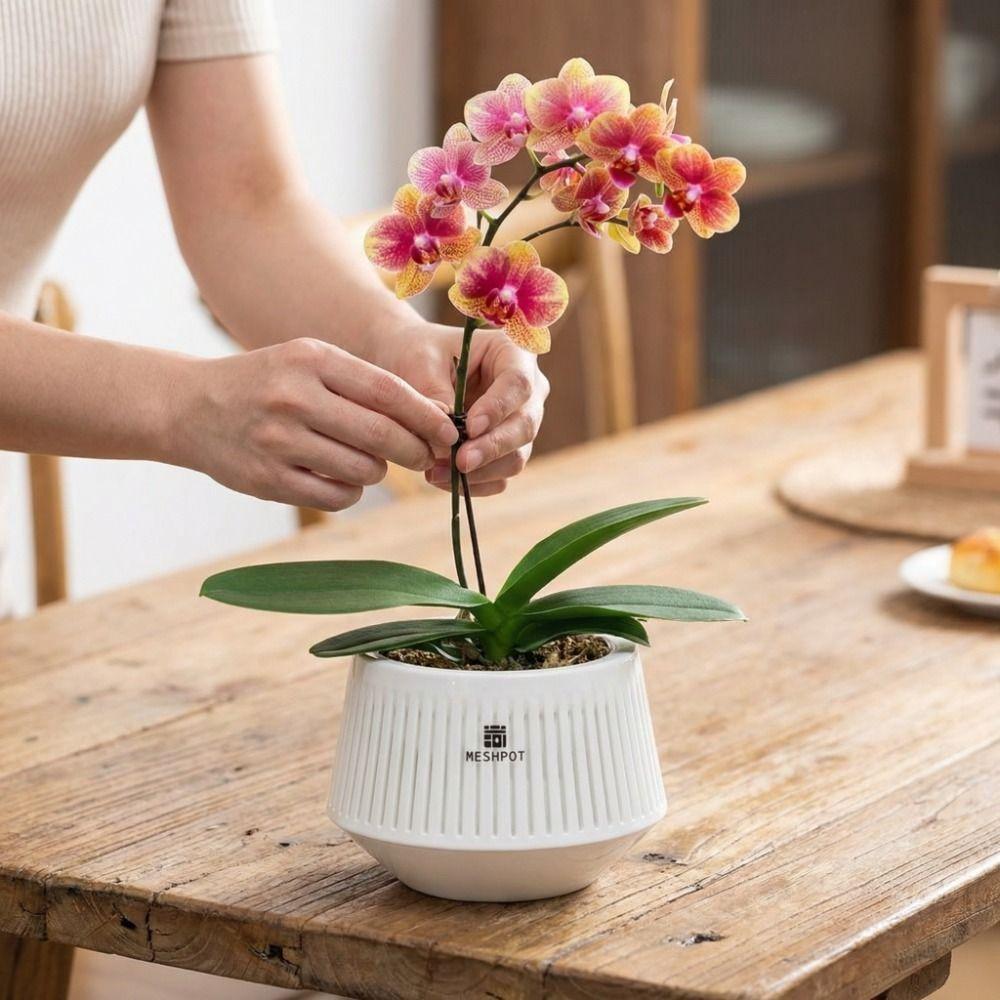 Moisturizing Meshpot Orchid Pot Thickening Root Control Flowerpot Growing Pots Prevent Root Rot