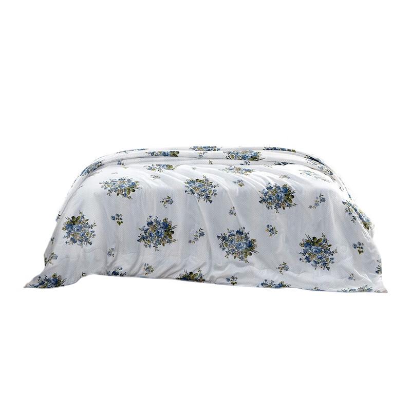 

Fuanna Antibacterial Mulberry Silk Quilt