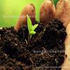 Organic Nutrient-Rich Planting Soil for Flowers, Vegetables, Succulents & Potted Plants with Natural Fertilizer