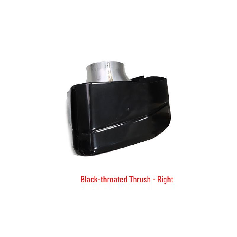 BMW X3/X4 2022 Black Stainless Steel Square Tailpipe Cover