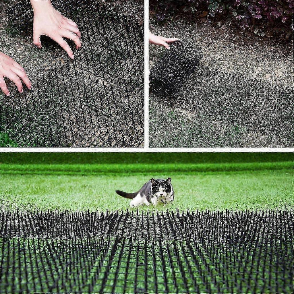 Tapis Anti-Chat d'Epine Grille De Jardin Anti Chiens, Chats Animaux De Compagnie 200 X 30 Cm 2025 2025