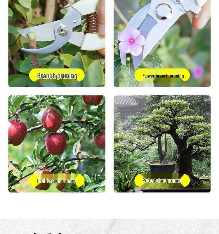 Handgefertigte Blumenschere für Bäume und Blumen