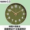 Nbdeal Wall Radio Continuous Second 3D Diameter 30cm Clock, Wave, Analog, Hand, Quiet, Characters, (Grass Green)