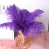 Color 20-25Cm Ostrich Hair Vase Ornament Wall Feather Decoration Hand Bouquet Flower Arrangement Diy Material