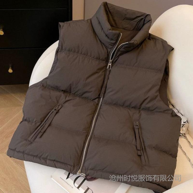 Autumn and Winter Design Sense New Down Cotton Vest Short Stand-up Collar Korean Version Loose and Thin Vest Cotton Coat Tide
