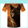 T-shirts e tops – T-Shirts