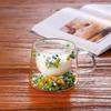 Dried Flower Decorated Double Wall Glass Cup 350ml Dried Flower Decorated Cup  Home Use