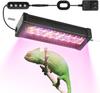Reptielen – Reptielen terraria