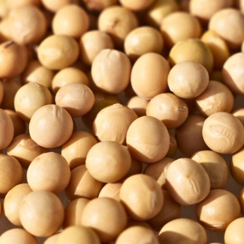 Nesh Soy Biome 2-Step Clinic Hair Mask 50ml X 4 Sheets