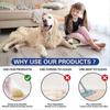 150 Pcs Pet Pee Pads, Dog Pee Pads, Instant Absorbent, Quick-Drying, Toilet Deodorizing, Pee Wipes