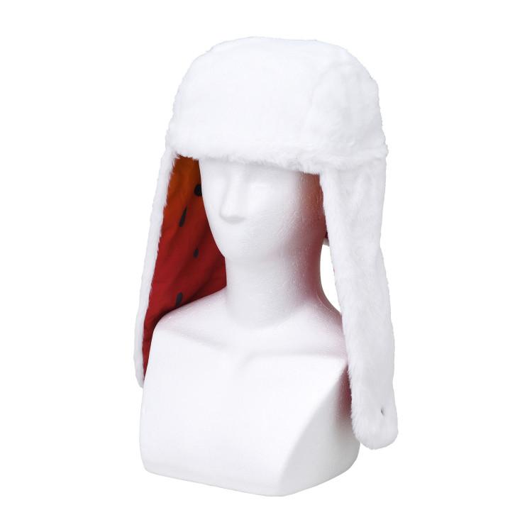 POKEMON Středová zimní čepice Přineste si piknik! Vulcamos, 9782068493, Populární Pokémon v Koreji