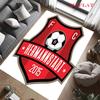 FC Hermannstadt Teppich für Wohnzimmer Schlafzimmer Zuhause Sofadekoration, Rutschfeste Bodenmatte für Kinder zum Spielen