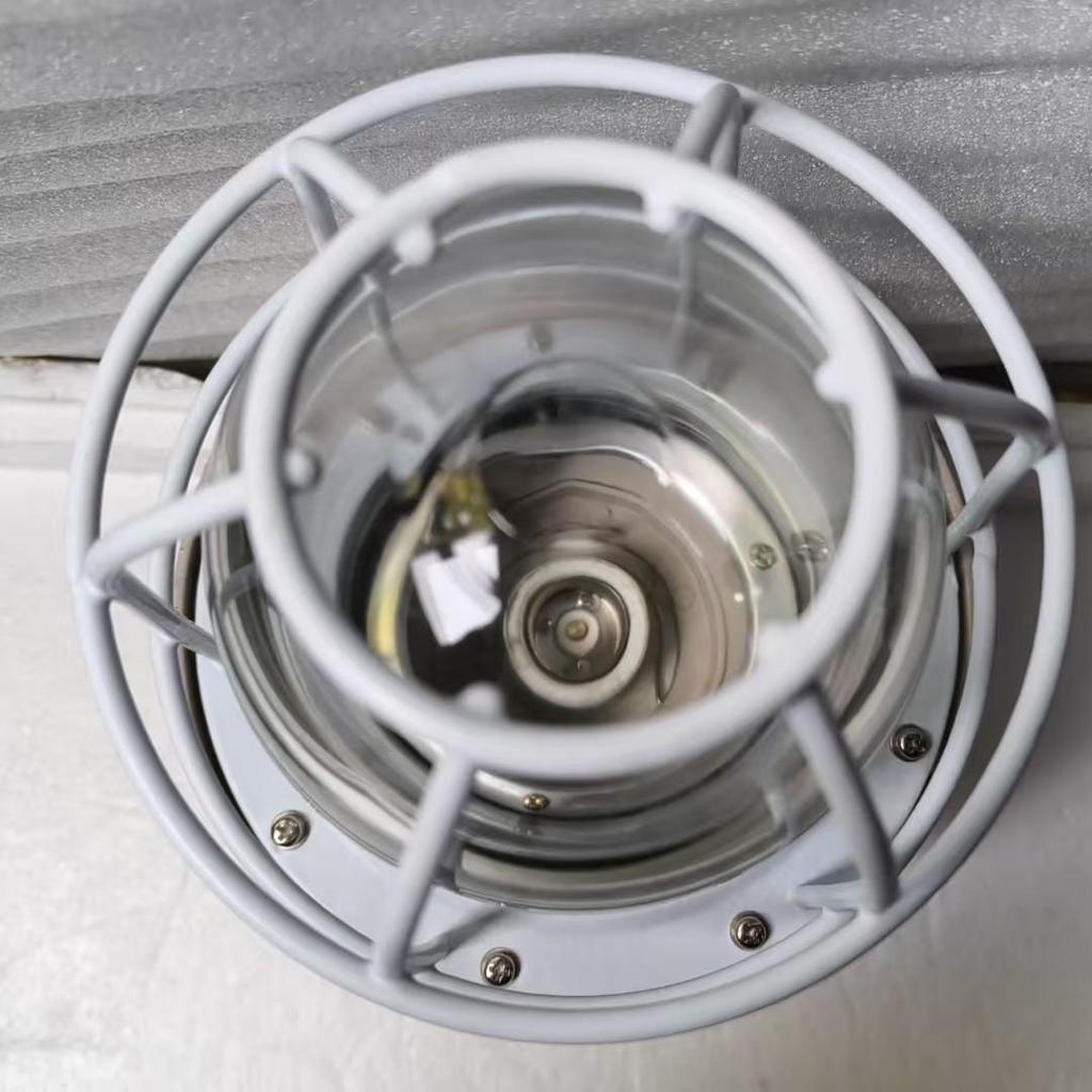 Explosion-Proof Waterproof Dustproof Anti-Corrosion Pendant Lamp Fixture BCD200W Flameproof National Standard