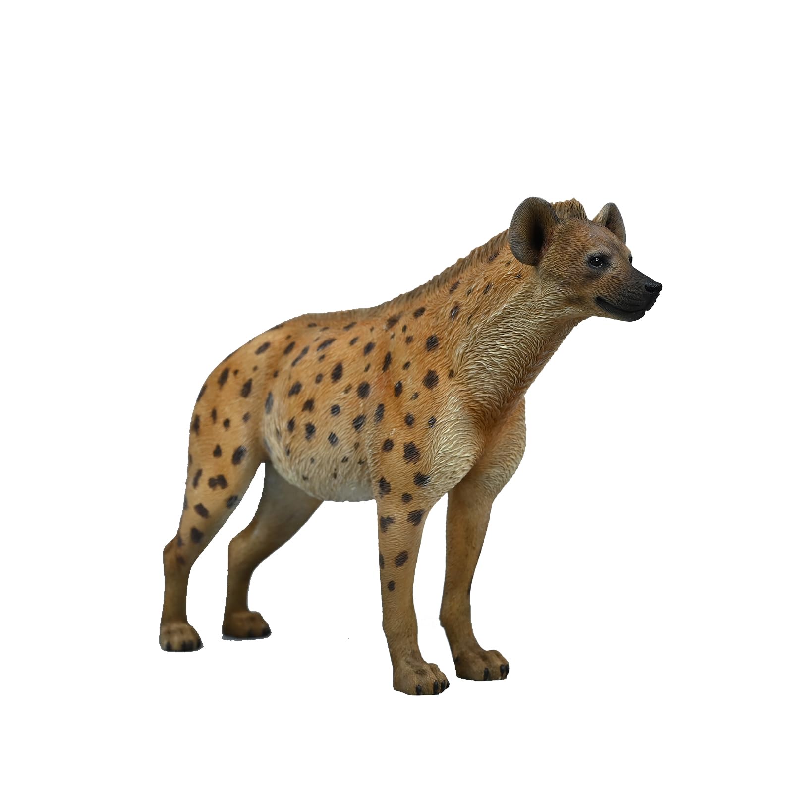 

JXK Гиена Фигурка Животного Статуэтка Миниатюрная Модель из Смолы Настольный Аксессуар Декорация Подарок на День Рождения Окрашенный Готовый Продукт