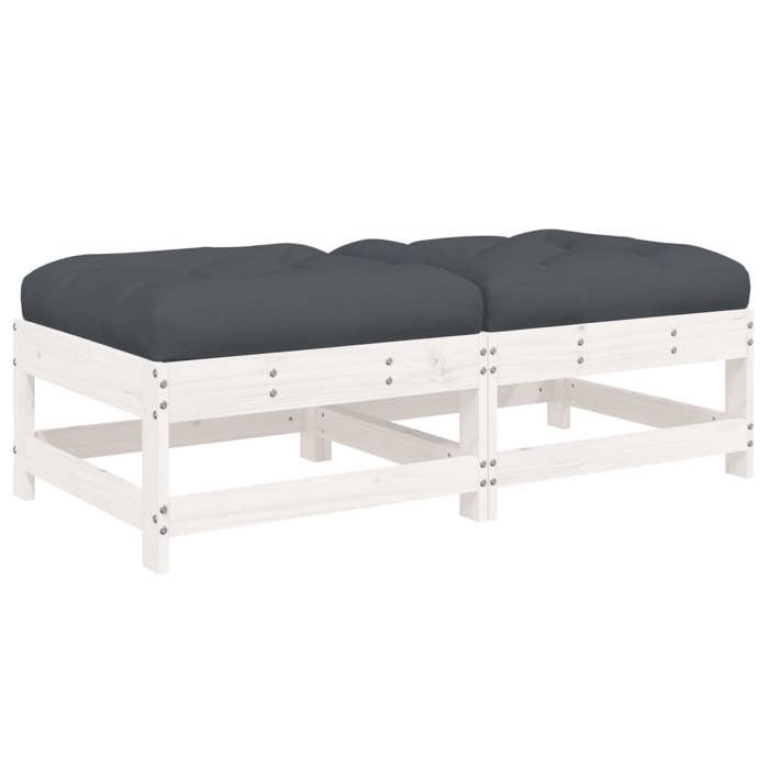 VidaXL Lot de 2 Repose-pieds de Jardin avec Coussins, Tabourets de Terrasse, Chaises de Patio, Meubles de Balcon Extérieur, 825584