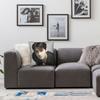 Cha Eun Woo Poster Throw Pillow Cover Polyester Decorative Pillow , Fashion Pillowcover Home Decor