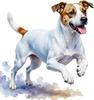 QT2430#15cm Weiß-Brauner Jack Russell Terrier mit Ausdrucksstarken Augen & Herausgestreckter Zunge Autoaufkleber für Laptop, LKW, Motorrad, Fenster