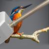 Durability Metal Warming Perches For Parrots With Anti Chew And Smarted Temperature Control For Bird Cages