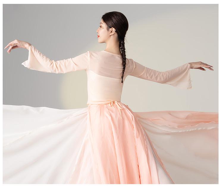 Chinese Classical Dance Costume: Women's Fairy Gauze Top and Mesh Skirt Set