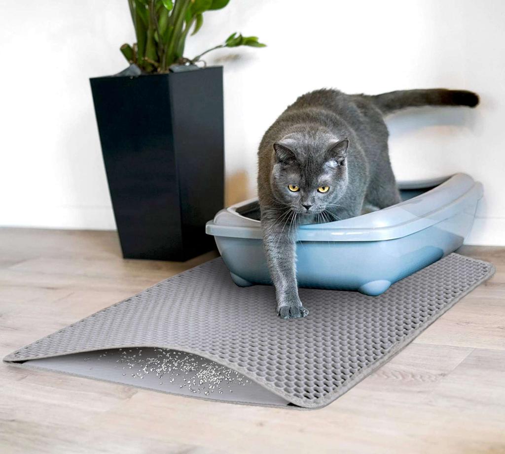 Catsy Doormat, 40X50 Cm, Gray