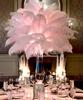 10Pcslot Natural Long Ostrich Feather Bulk 40-65CM16-26inch for Wedding Party Dining Table Center Vase Decor Home Lamp Feather
